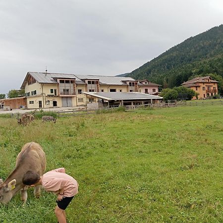 Fiavè Maso Torbiera- Rural And Mountain Lodging المظهر الخارجي الصورة
