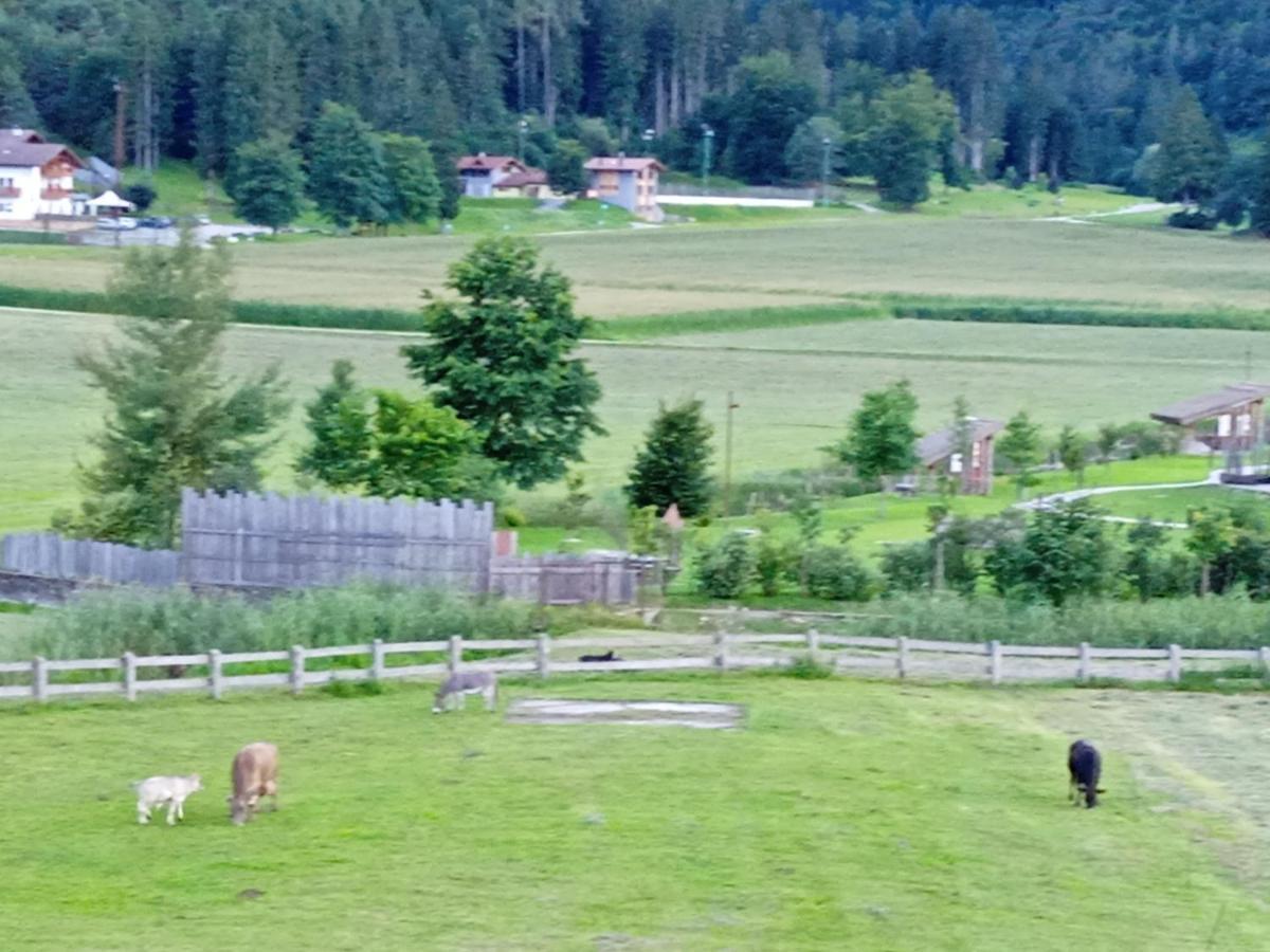 Fiavè Maso Torbiera- Rural And Mountain Lodging المظهر الخارجي الصورة