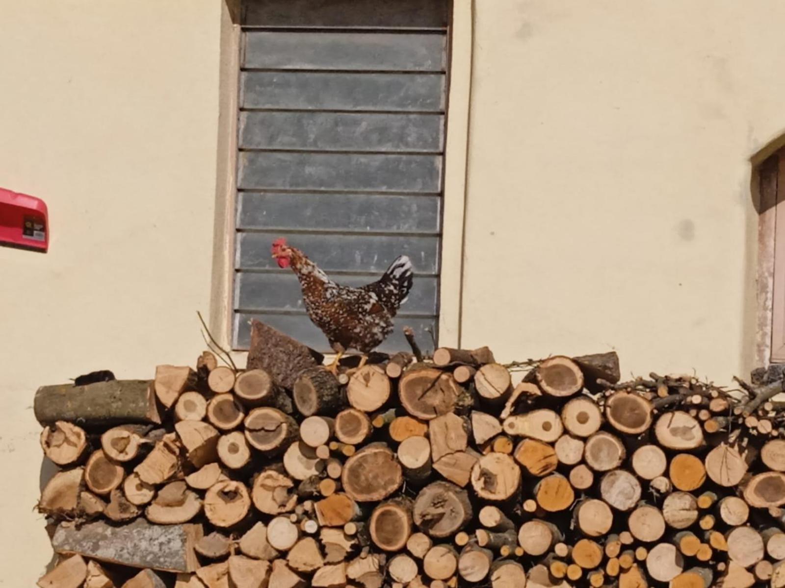 Fiavè Maso Torbiera- Rural And Mountain Lodging المظهر الخارجي الصورة