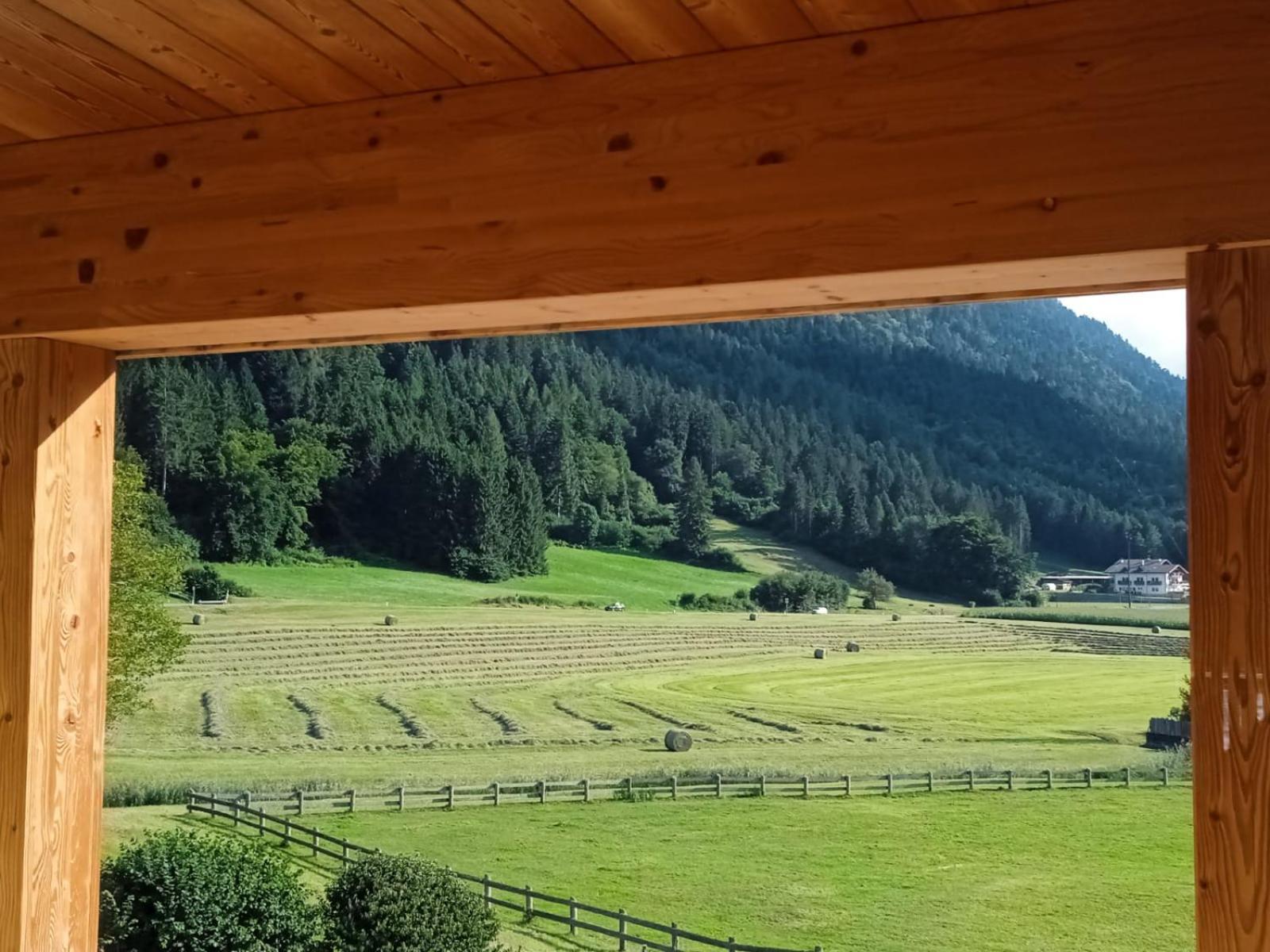 Fiavè Maso Torbiera- Rural And Mountain Lodging المظهر الخارجي الصورة