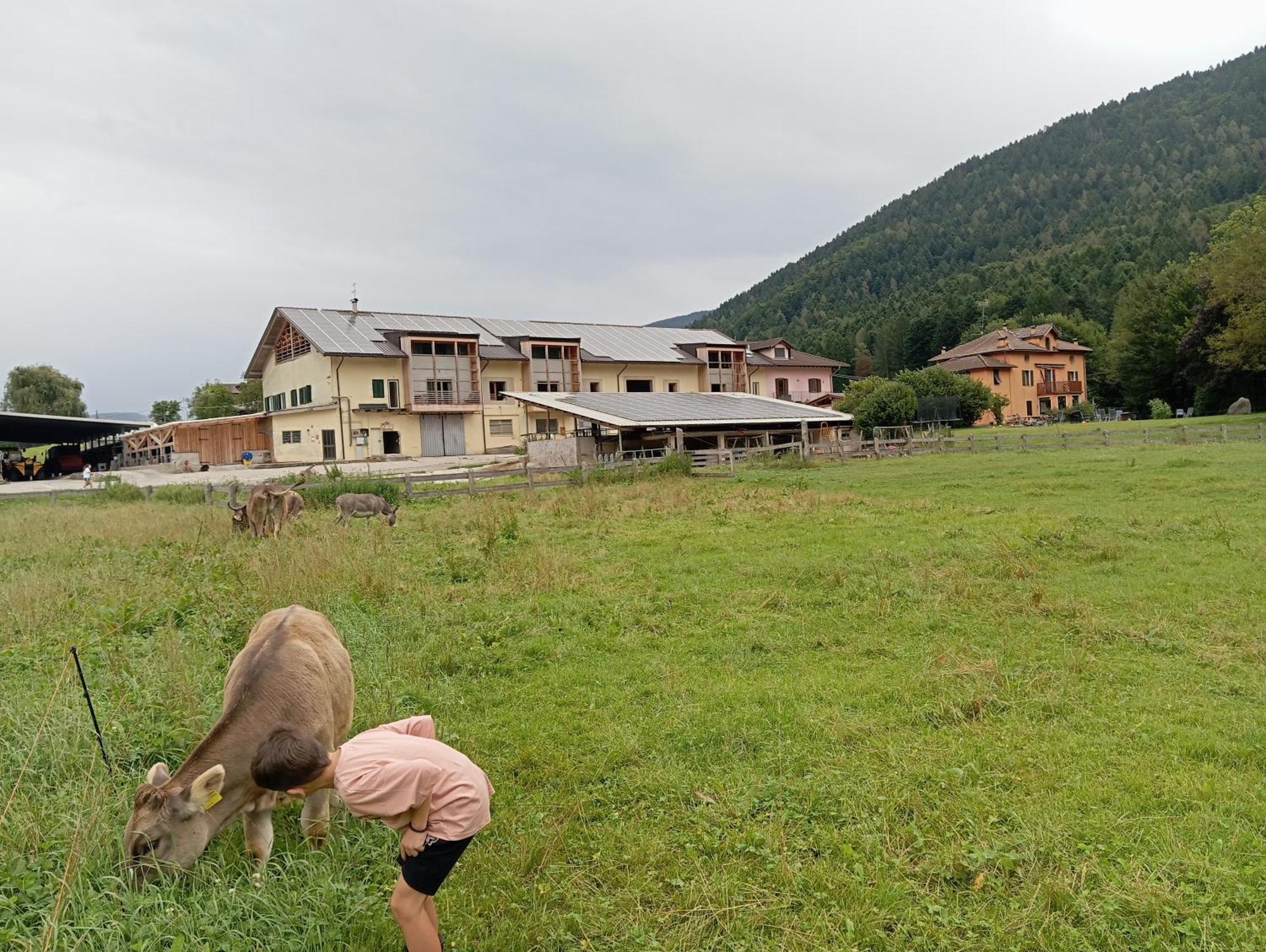 Fiavè Maso Torbiera- Rural And Mountain Lodging المظهر الخارجي الصورة
