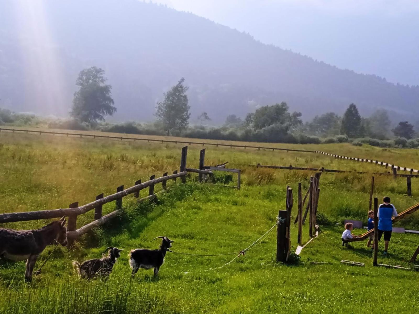 Fiavè Maso Torbiera- Rural And Mountain Lodging المظهر الخارجي الصورة