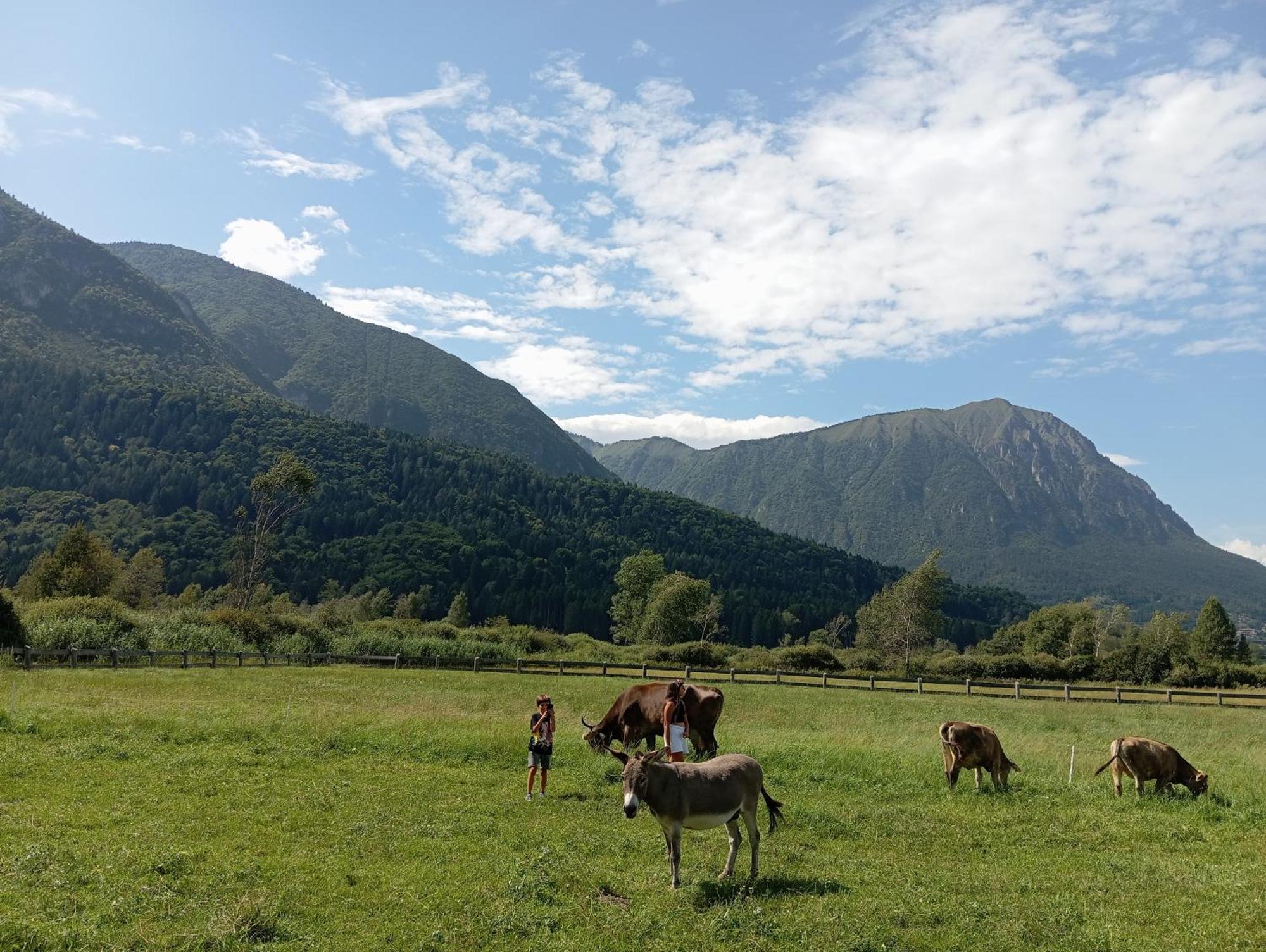 Fiavè Maso Torbiera- Rural And Mountain Lodging المظهر الخارجي الصورة